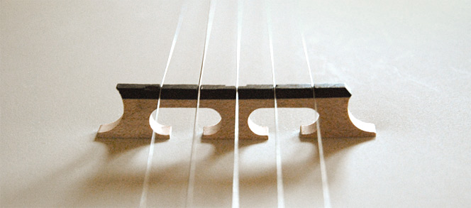 5-string banjo